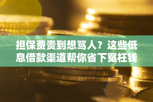 济南担保费贵到想骂人？这些低息借款渠道帮你省下冤枉钱