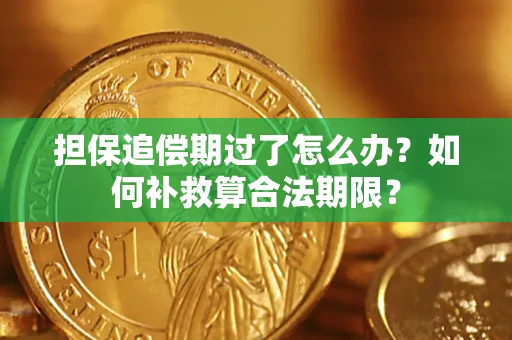 济南担保追偿期过了怎么办？如何补救算合法期限？