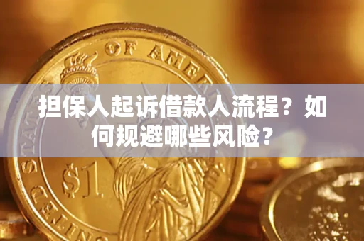 济南担保人起诉借款人流程？如何规避哪些风险？